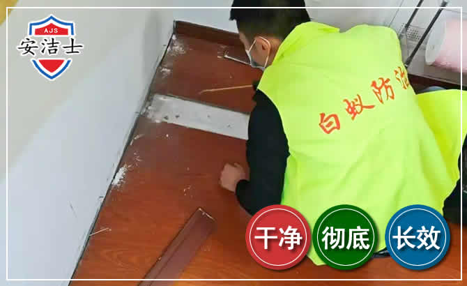 婺城区除四害现场